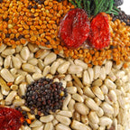 Frosty Snowman BIRDSEED