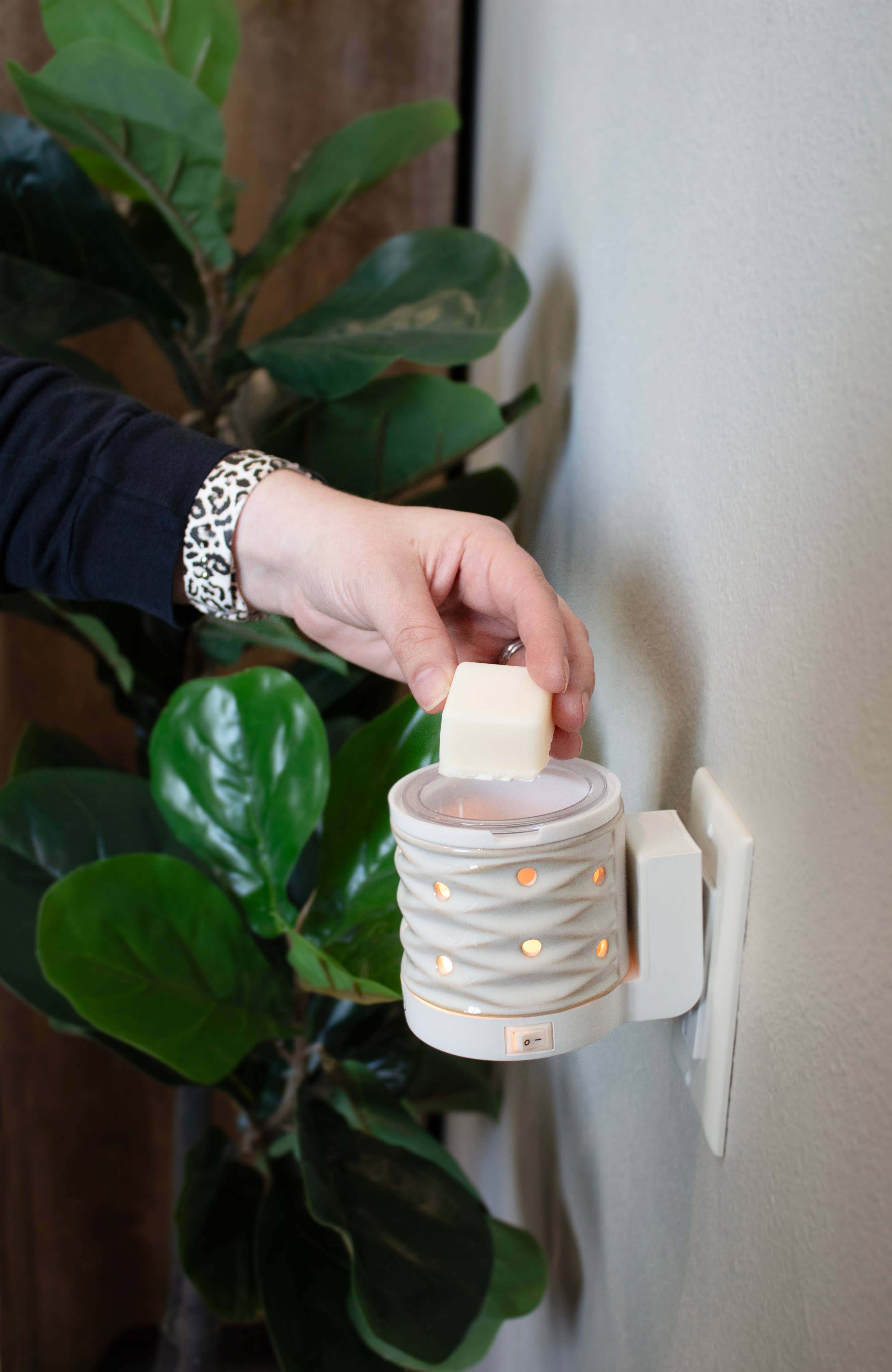 5.5 oz Wax Melts: Apple Strudel