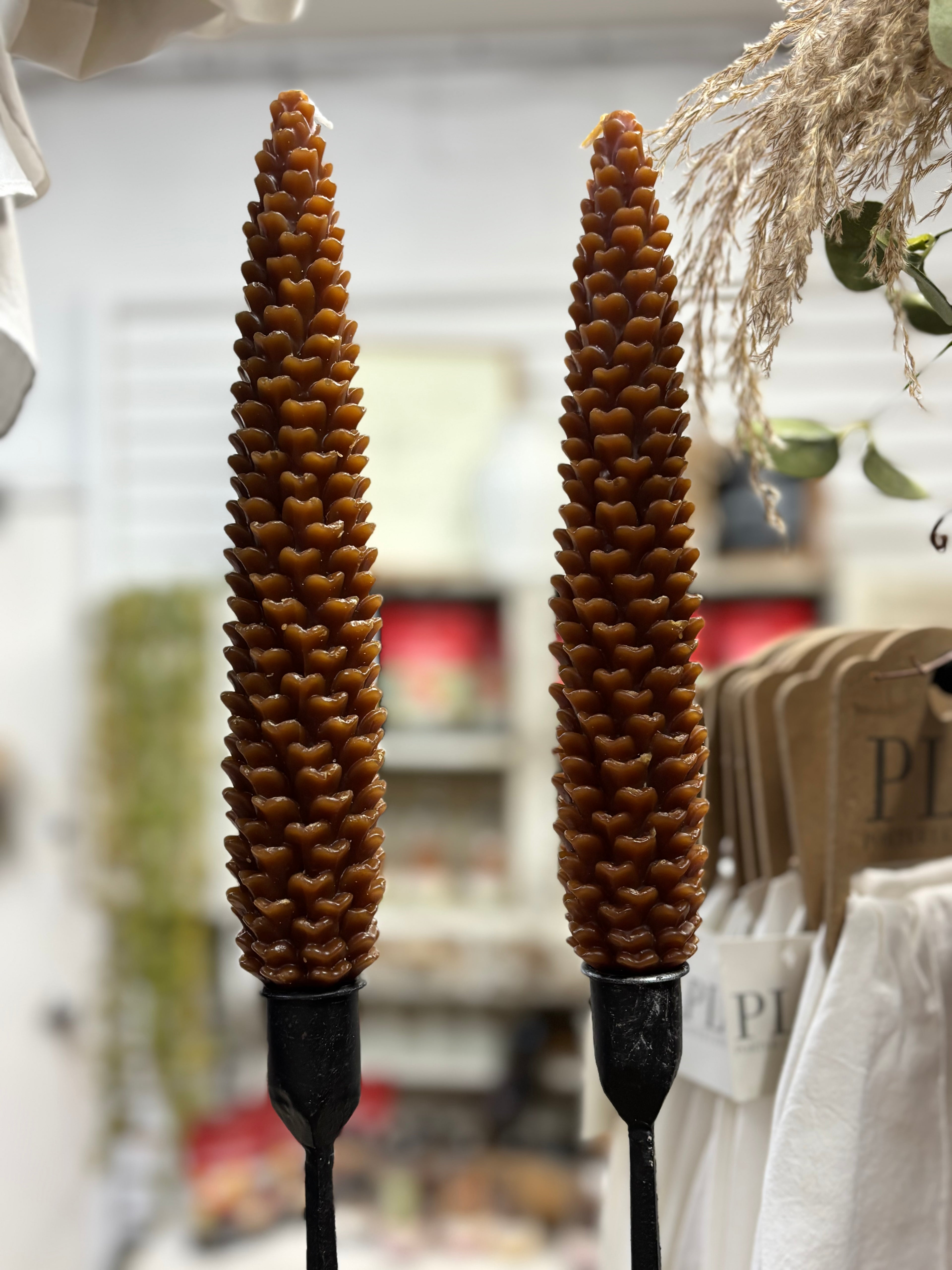 Small pine cone taper