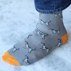 Coonhound Dog Grey Socks