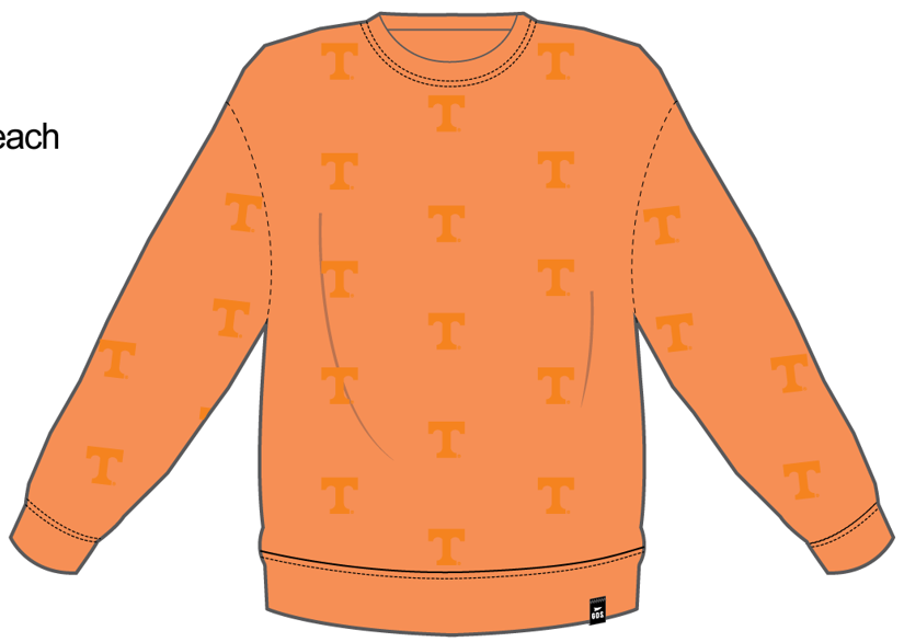 Tennessee Ritter Repeat Lantern Sleeve Crew: SHERBERT