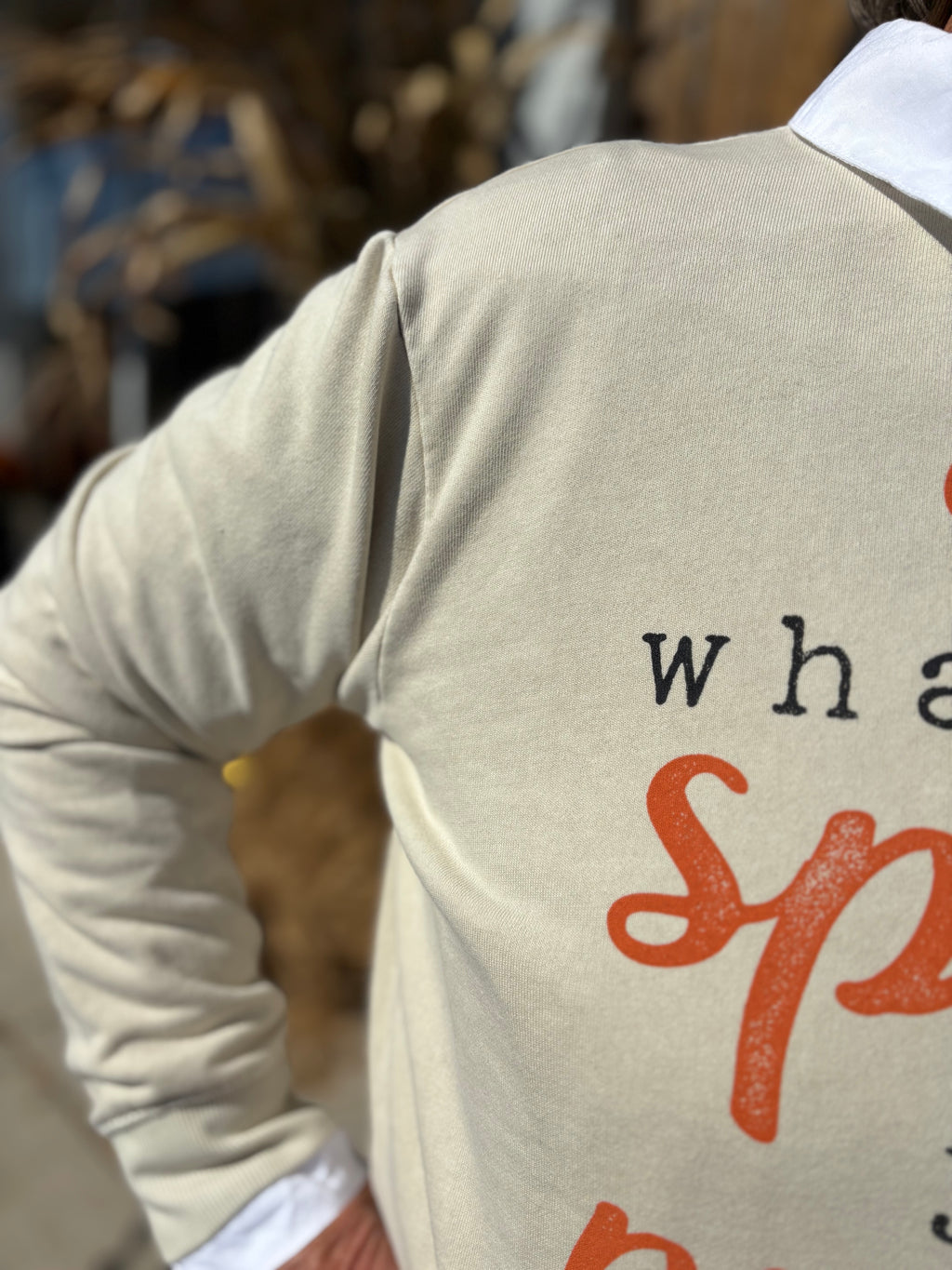 SPICES PUMPKIN MINERAL GRAPHIC SWEATWHIRTS: Mineral Oatmeal