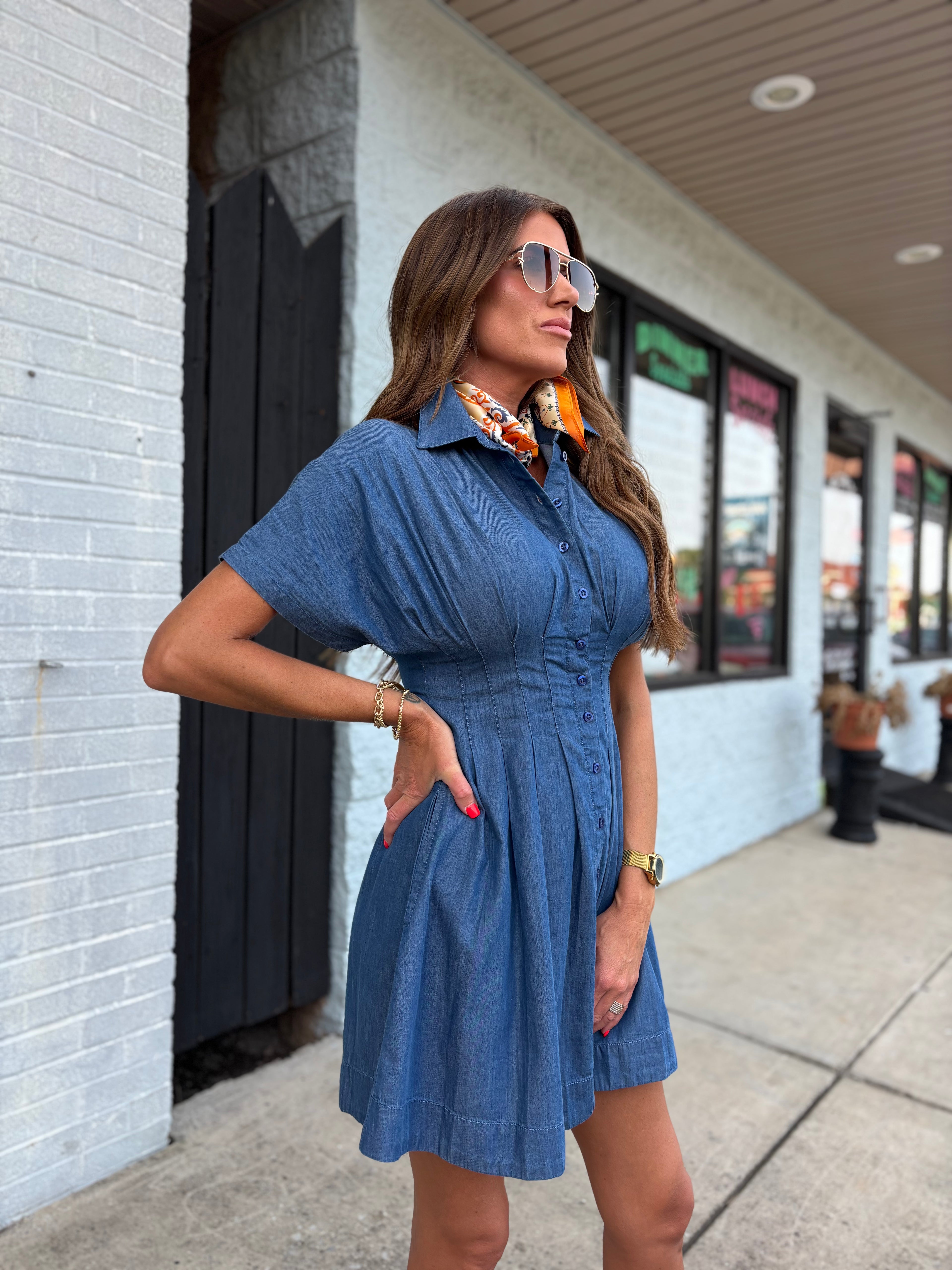 KUT Francesca Dolman Sleeve Button-Up Shirtdress
