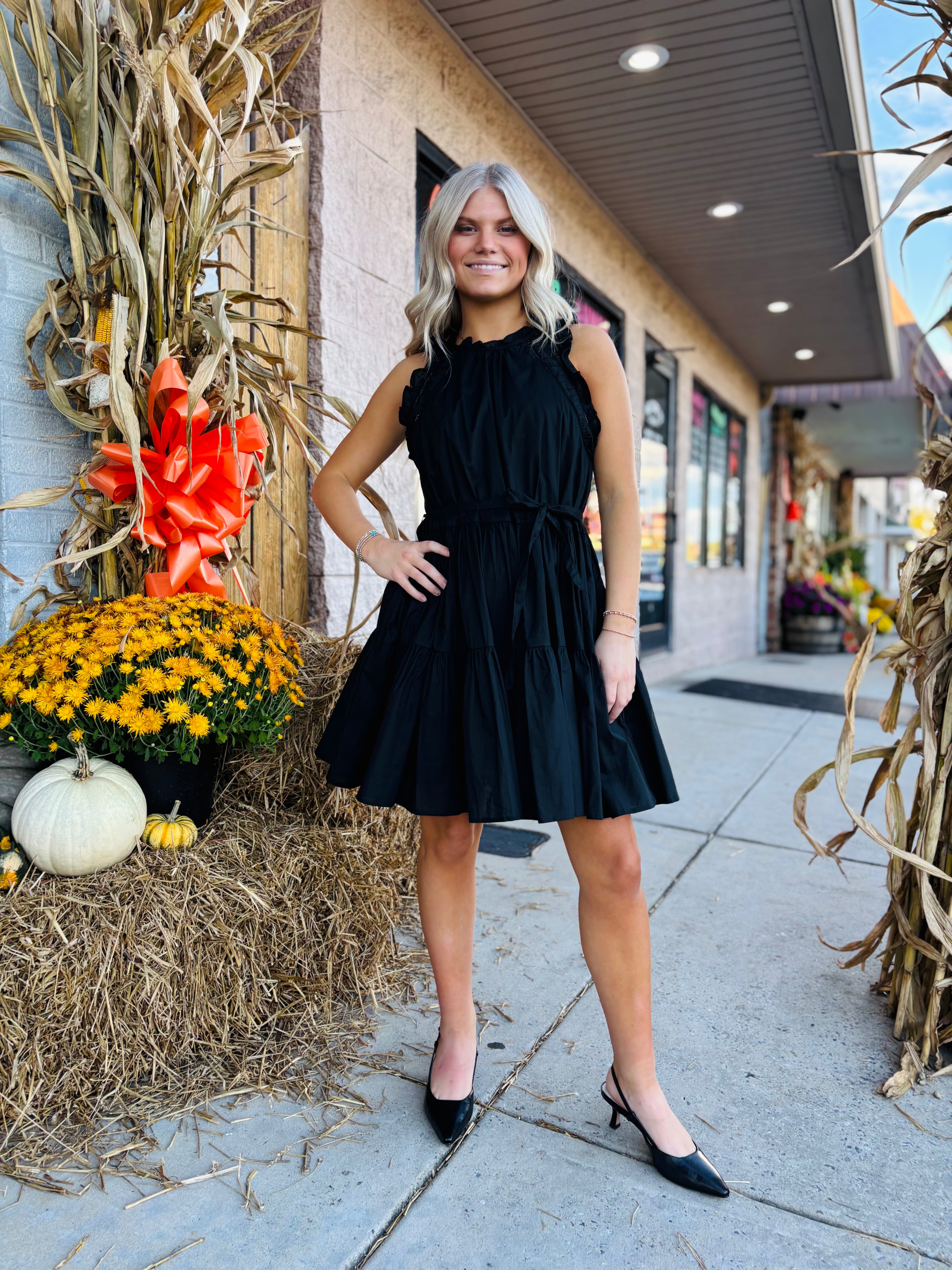 SKIES ARE BLUE BLACK POPLIN RUFFLE SLVE DRESS XS