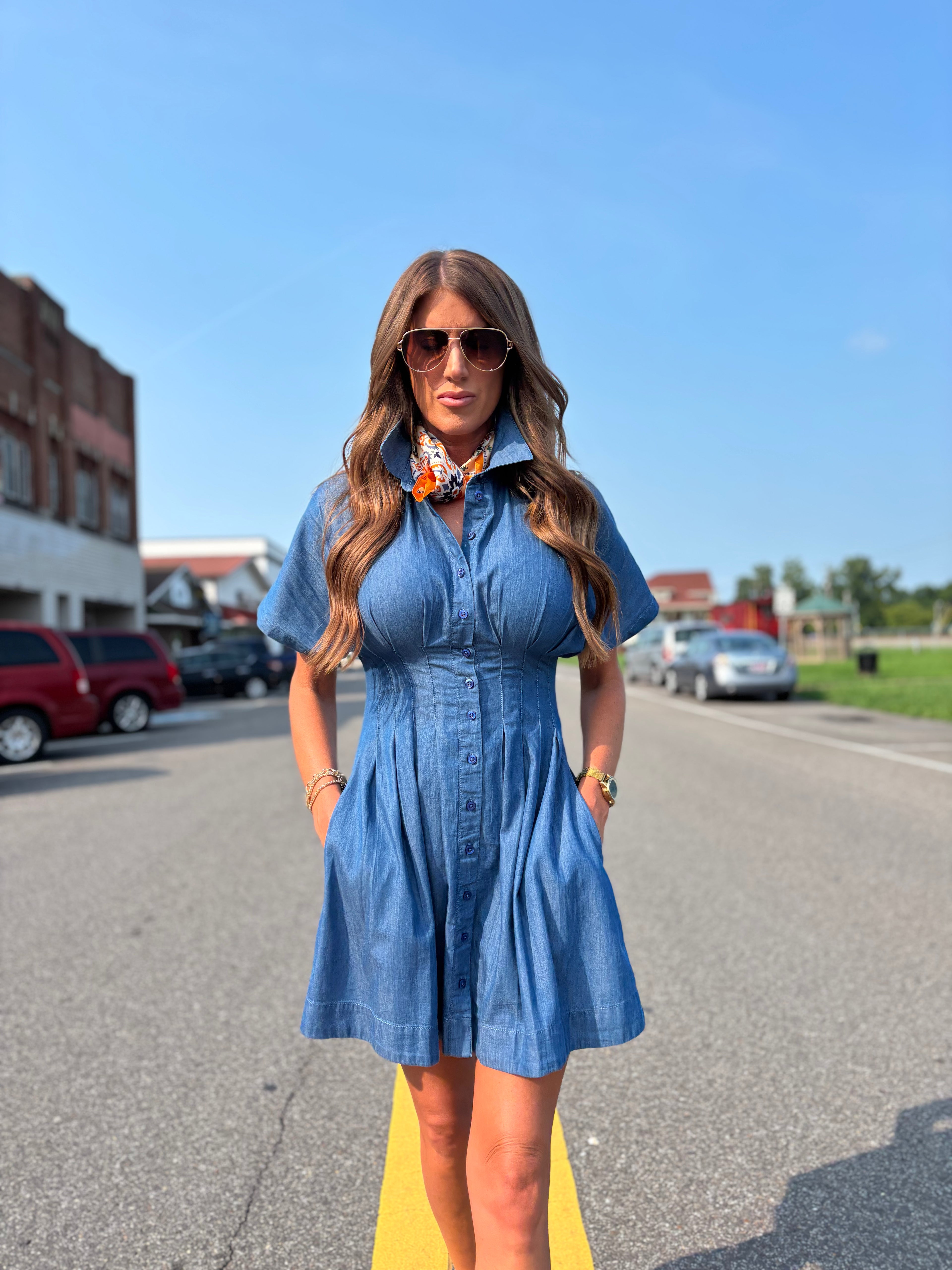 KUT Francesca Dolman Sleeve Button-Up Shirtdress