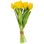 YELLOW FRESH PICKED TULIP BUNDLE
