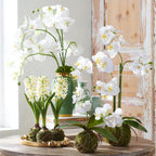 31” WHITE ORCHID WITH MOSS BALL