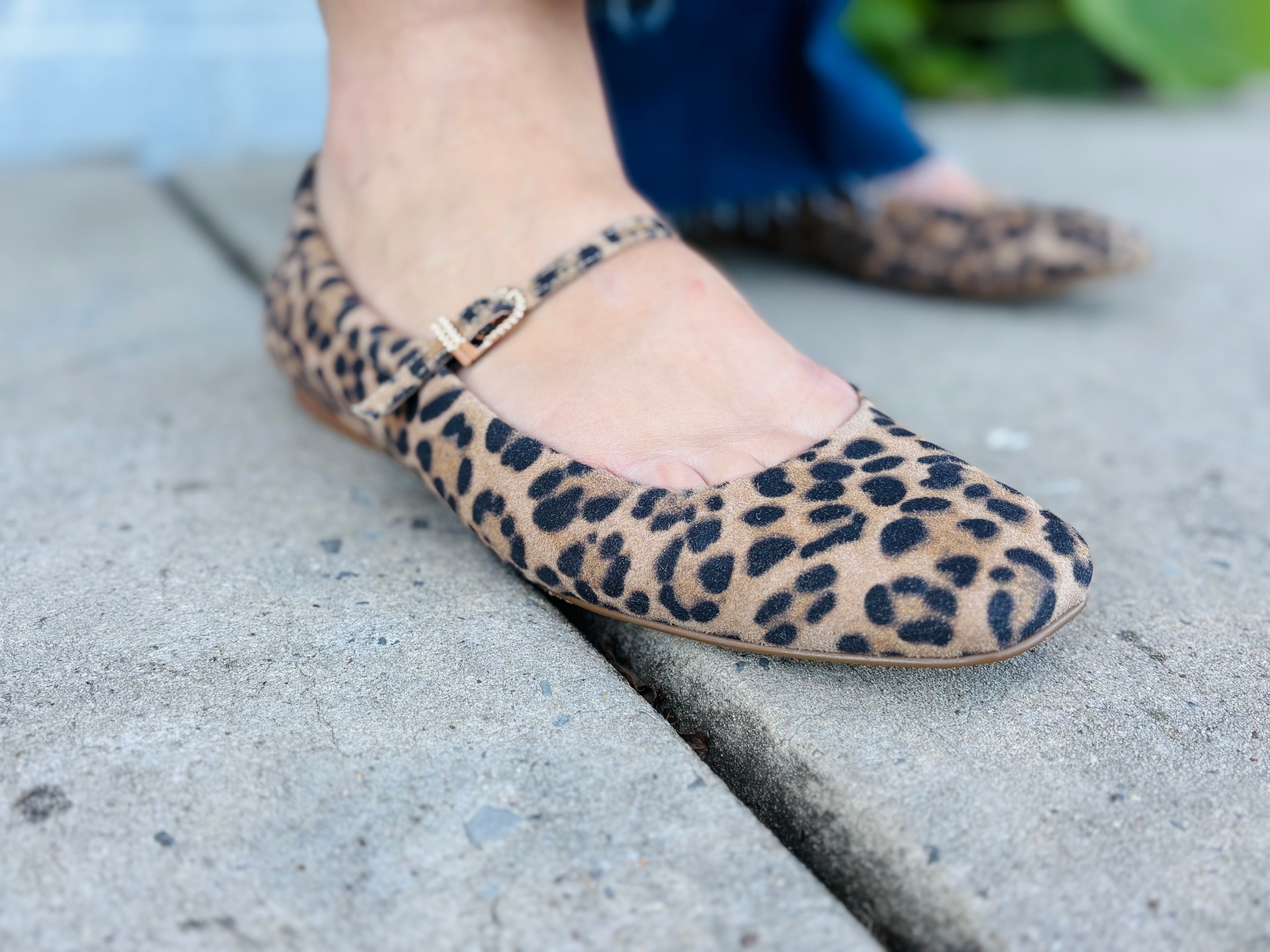 Dolce Vita Reyes Dk Leopard Shoe